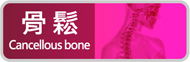 骨鬆-Cancellous bone